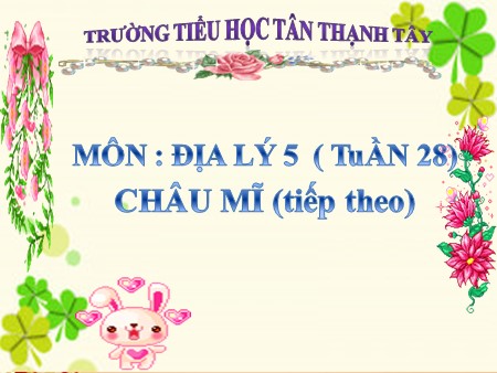 Bài giảng Địa lí Lớp 5 - Bài: Châu Mĩ (Tiếp theo) - Năm học 2019-2020 - Trường Tiểu học Tân Thạnh Tây
