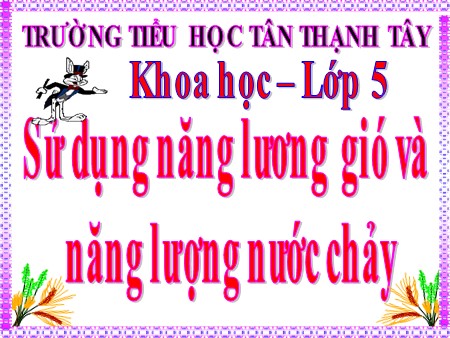 Bài giảng Khoa học Lớp 5 - Bài: Sử dụng năng lượng gió và năng lượng nước chảy - Trường Tiểu học Tân Thạnh Tây
