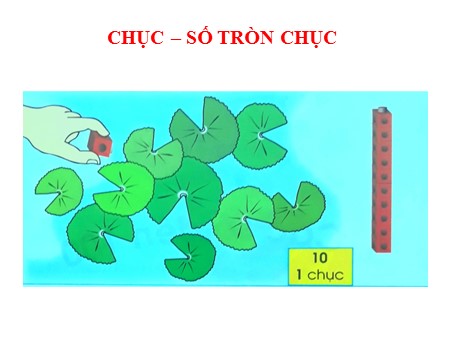 Bài giảng Toán Lớp 1 - Bài: Chục - Số tròn chục