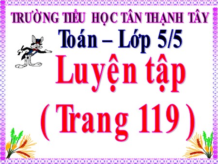 Bài giảng Toán Lớp 5 - Bài: Luyện tập (Trang 119) - Trường Tiểu học Tân Thạnh Tây