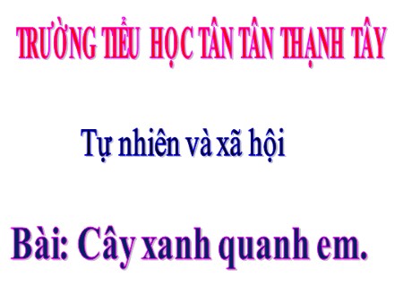 Bài giảng Tự nhiên và xã hội Lớp 1 - Bài: Cây xanh quanh em - Trường Tiểu học Tân Thạnh Tây