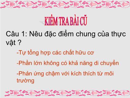 Bài giảng Sinh học Lớp 6 - Tiết 3, bài 4: Có phải tất cả các thực vật đều có hoa?