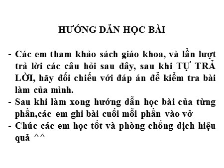 Bài giảng Sinh học Lớp 6 - Tiết 46, Bài 40: Hạt trần - Cây thông