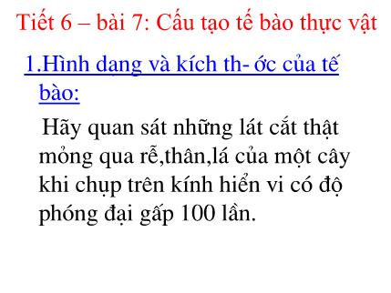 Bài giảng Sinh học Lớp 6 - Tiết 6, Bài 7: Cấu tạo tế bào thực vật