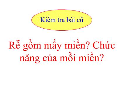 Bài giảng Sinh học Lớp 6 - Tiết 9, Bài 10: Cấu tạo miền hút của rễ - Năm học 2014-2015