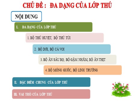 Bài giảng Sinh học Lớp 7 - Chủ đề: Đa dạng của lớp thú