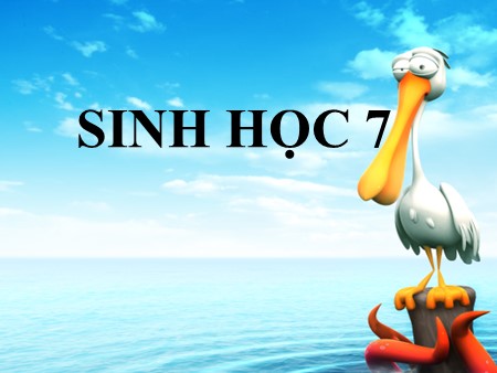 Bài giảng Sinh học Lớp 7 - Tieetsd 43+44, Bài 45: Thực hành Xem băng hình về đời sống và tập tính của chim - Trần Thị Thu Cúc