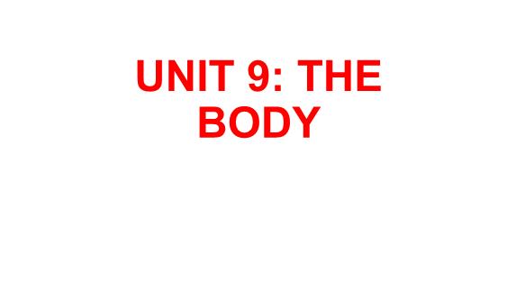 Bài giảng Tiếng Anh Lớp 6 - Unit 9: The body