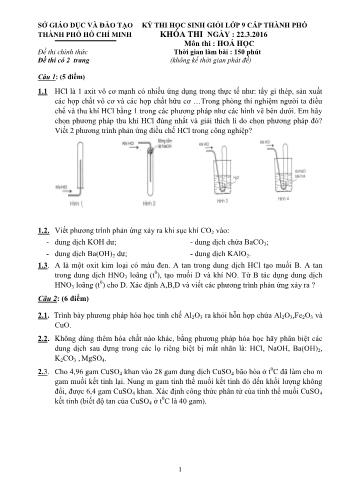 Đề thi học sinh giỏi lớp 9 cấp Thành phố môn Hóa học - Sở Giáo dục và Đào tạo Thành phố Hồ Chí Minh (Có đáp án)
