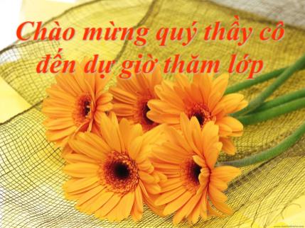 Giáo án Giáo dục công dân Lớp 6 - Tiết 15, Bài 11: Mục đích học tập của học sinh (Tiếp theo) - Lê Trọng Tâm