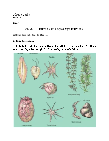 Ôn tập môn Công nghệ Lớp 7 - Tuần 26