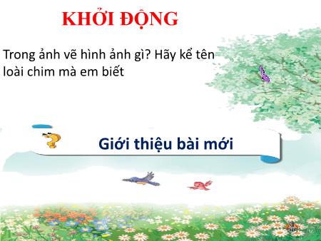 Bài giảng Âm nhạc 2 (Kết nối tri thức) - Chủ đề 4: Tuổi thơ - Tiết 13: Học bài hát Chú chim nhỏ dễ thương