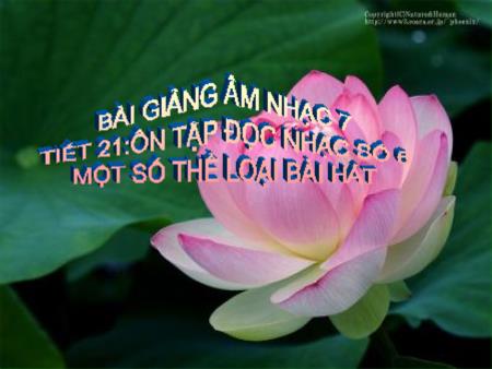 Bài giảng Âm nhạc Lớp 7 - Tiết 21: Ôn tập TĐN số 6. Một số thể loại bài hát