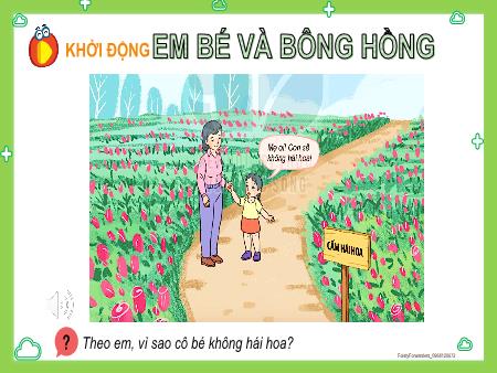 Bài giảng Đạo đức Lớp 2 (Kết nối tri thức) - Chủ đề 8: Tuân thủ quy định nơi công cộng - Bài 14: Tìm hiểu quy định nơi công cộng