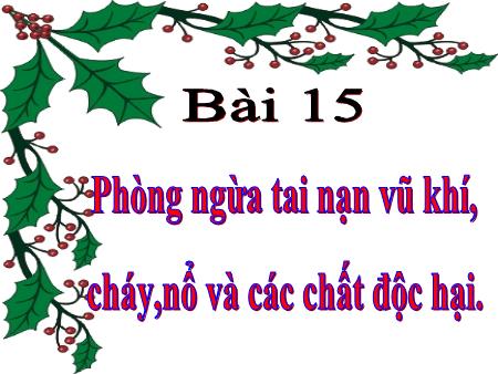 Bài giảng Giáo dục công dân Lớp 8 - Bài 15: Phòng ngừa tai nạn vũ khí, cháy, nổ và các chất độc hại