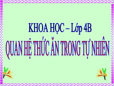 Bài giảng Khoa học Lớp 4 - Bài 65: Quan hệ thức ăn trong tự nhiên