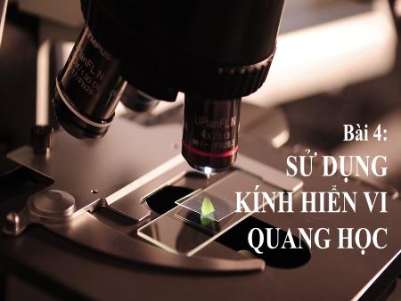 Bài giảng Khoa học tự nhiên 6 (Kết nối tri thức) - Chương I: Mở đầu về khoa học tự nhiên - Bài 4: Sử dụng kính hiển vi quang học