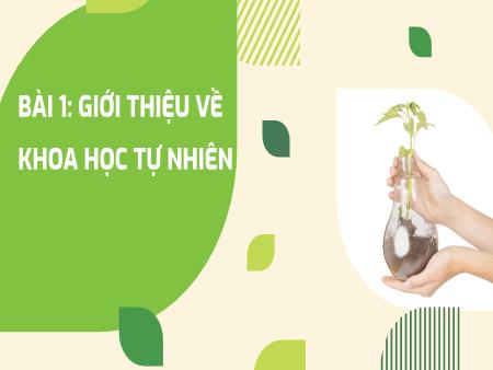Bài giảng Khoa học tự nhiên 6 (Kết nối tri thức) - Chương I: Mở đầu về khoa học tự nhiên - Bài 1: Giới thiệu về khoa học tự nhiên