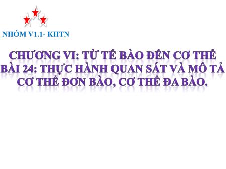 Bài giảng Khoa học tự nhiên 6 (Kết nối tri thức) - Chương VI: Từ tế bào đến cơ thể - Bài 24: Thực hành quan sát và mô tả cơ thể đơn bào, cơ thể đa bào