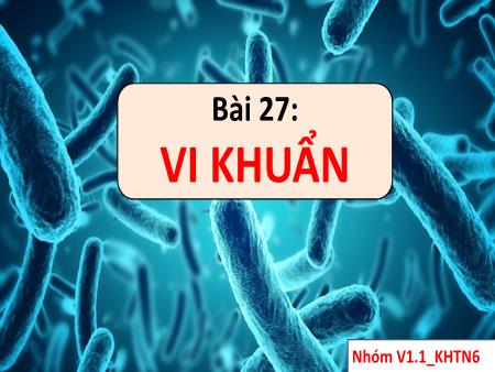 Bài giảng Khoa học tự nhiên 6 (Kết nối tri thức) - Chương VII: Đa dạng thế giới sống - Bài 27: Vi khuẩn