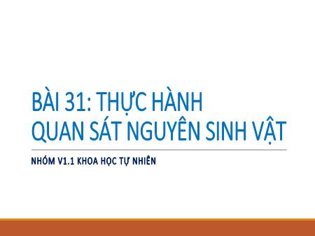 Bài giảng Khoa học tự nhiên 6 (Kết nối tri thức) - Chương VII: Đa dạng thế giới sống - Bài 31: Thực hành quan sát nguyên sinh vật