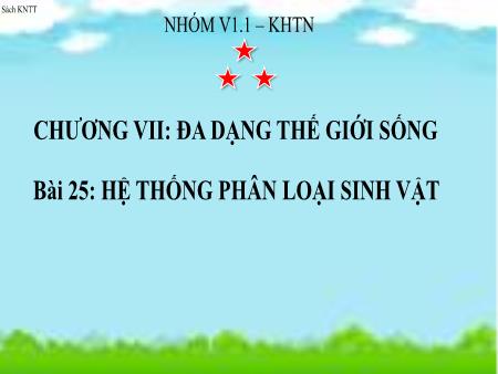 Bài giảng Khoa học tự nhiên 6 (Kết nối tri thức) - Chương VII: Đa dạng thế giới sống - Bài 25: Hệ thống phân loại vi sinh