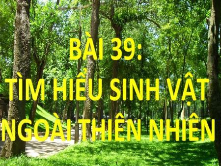Bài giảng Khoa học tự nhiên 6 (Kết nối tri thức) - Chương VII: Đa dạng thế giới sống - Bài 39: Tìm hiểu sinh vật ngoài thiên nhiên