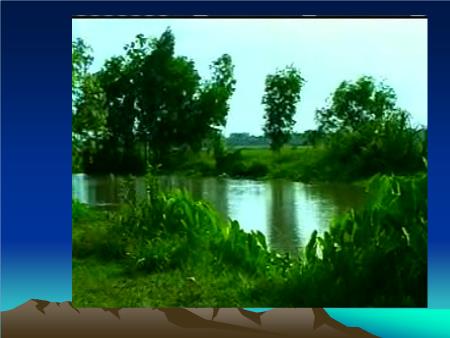 Bài giảng Mĩ thuật Lớp 9 - Bài 5: Vẽ tranh Đề tài phong cảnh quê hương