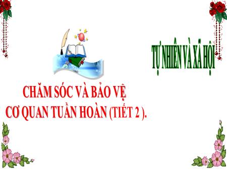 Bài giảng môn Tự nhiên và Xã hội Lớp 3 (Kết nối tri thức) - Chủ đề 5: Con người và sức khỏe - Bài 21: Chăm sóc và bảo vệ cơ quan tuần hoàn (Tiết 2) - Năm học 2024-2025