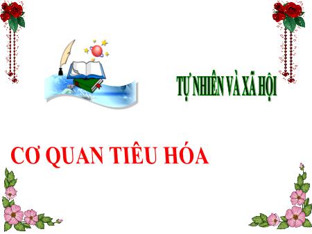 Bài giảng môn Tự nhiên và Xã hội Lớp 3 (Kết nối tri thức) - Chủ đề 5: Con người và sức khỏe - Bài 18: Cơ quan tiêu hóa - Năm học 2024-2025