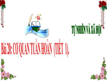 Bài giảng môn Tự nhiên và Xã hội Lớp 3 (Kết nối tri thức) - Chủ đề 5: Con người và sức khỏe - Bài 20: Cơ quan tuần hoàn (Tiết 1) - Năm học 2024-2025