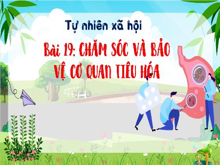 Bài giảng môn Tự nhiên và Xẫ hội Lớp 3 (Kết nối tri thức) - Chủ đề 5: Con người và sức khỏe - Bài 19: Chăm sóc và bảo vệ cơ quan tiêu hóa - Năm học 2024-2025