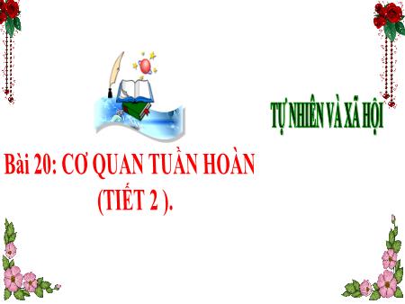 Bài giảng môn Tự nhiên và Xã hội Lớp 3 (Kết nối tri thức) - Chủ đề 5: Con người và sức khỏe - Bài 20: Cơ quan tuần hoàn (Tiết 2) - Năm học 2024-2025