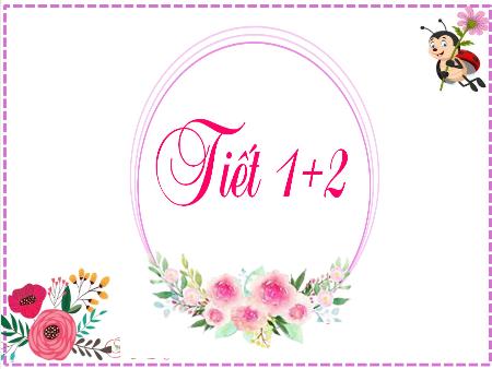 Bài giảng Tiếng Việt Lớp 2 (Kết nối tri thức) - Chủ đề 1: Em lớn lên từng ngày - Bài 8. Tiết 1+2: Cầu thủ dự bị (Đọc) - Năm học 2024-2025