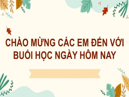 Bài giảng Tiếng Việt Lớp 2 (Kết nối tri thức) - Chủ đề 5: Vẻ đẹp quanh em - Bài 3. Tiết 1+2: Họa mi hót (Đọc) - Năm học 2024-2025
