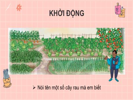Bài giảng Tiếng Việt Lớp 2 (Kết nối tri thức) - Chủ đề 6: Hành tinh xanh của em - Bài 11. Tiết 1+2: Sự tích cây thì là (Đọc) - Năm học 2024-2025