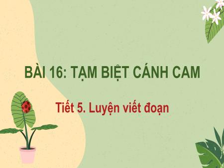 Bài giảng Tiếng Việt Lớp 2 (Kết nối tri thức) - Chủ đề 6: Hành tinh xanh của em - Bài 16. Tiết 5: Tạm biệt cánh cam (Luyện viết đoạn) - Năm học 2024-2025