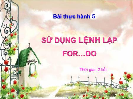 Bài giảng Tin học 8 - Bài thực hành 5: Sử dụng lệnh lặp For...Do