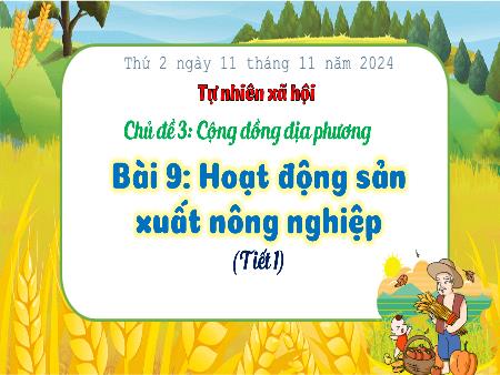 Bài giảng Tự nhiên và Xã hội Lớp 3 (Kết nối tri thức) - Chủ đề 3: Cồng đồng địa phương - Bài 9: Hoạt động sản xuất nông nghiệp - Năm học 2024-2025
