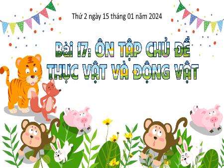 Bài giảng Tự nhiên và Xã hội Lớp 3 (Kết nối tri thức) - Chủ đề 4: Thực vật và động vật - Bài 17: Ôn tập chủ đề thực vật và động vật