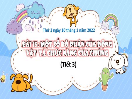 Bài giảng Tự nhiên và Xã hội Lớp 3 (Kết nối tri thức) - Chủ đề 4: Thực vật và động vật - Bài 15: Một số bộ phận của động vật và chức năng của chúng (Tiết 3) - Năm học 2022-2023