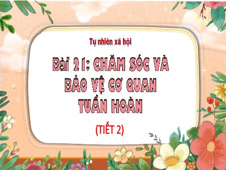 Bài giảng Tự nhiên và Xã hội Lớp 3 (Kết nối tri thức) - Chủ đề 5: Con người và sức khỏe - Bài 21: Chăm sóc và bảo vệ cơ quan tuần hoàn - Năm học 2023-2024