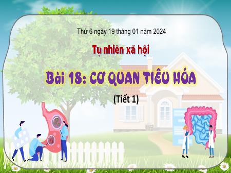 Bài giảng Tự nhiên và Xã hội Lớp 3 (Kết nối tri thức) - Chủ đề 5: Con người và sức khỏe - Bài 18: Cơ quan tiêu hóa (Tiết 1)