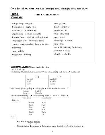 Đề cương ôn tập môn Tiếng Anh Lớp 9 - Unit 6: The environment - Năm học 2019-2020 - Trường TH, THCS&THPT Sao Việt