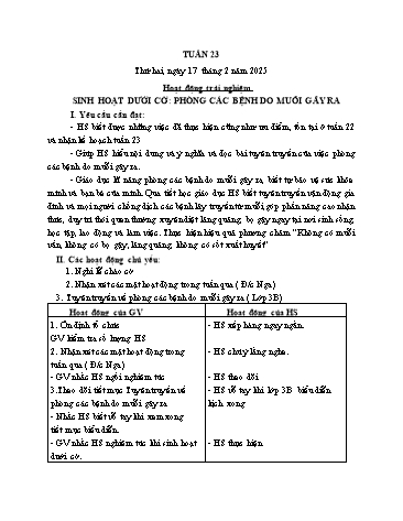 Giáo án các môn Lớp 1 - Tuần 23 - Năm học 2024-2025 - Nguyễn Thị Thu Hà