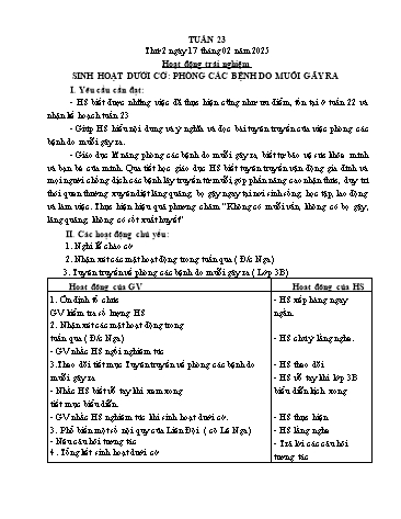 Giáo án các môn Lớp 5 - Tuần 23 - Năm học 2024-2025 - Nguyễn Thị Hòa