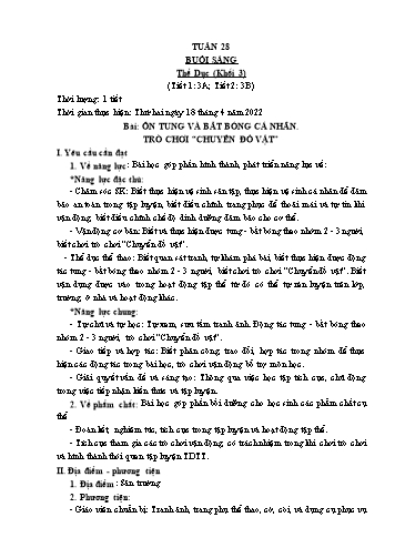 Kế hoạch bài dạy Thể dục & Mĩ thuật Khối Tiểu học - Tuần 28 - Đặng Hoài Thương
