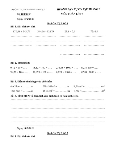Tài liệu ôn tập tháng 2 môn Toán Lớp 5 - Năm học 2019-2020 - Trường TH, THCS&THPT Sao Việt